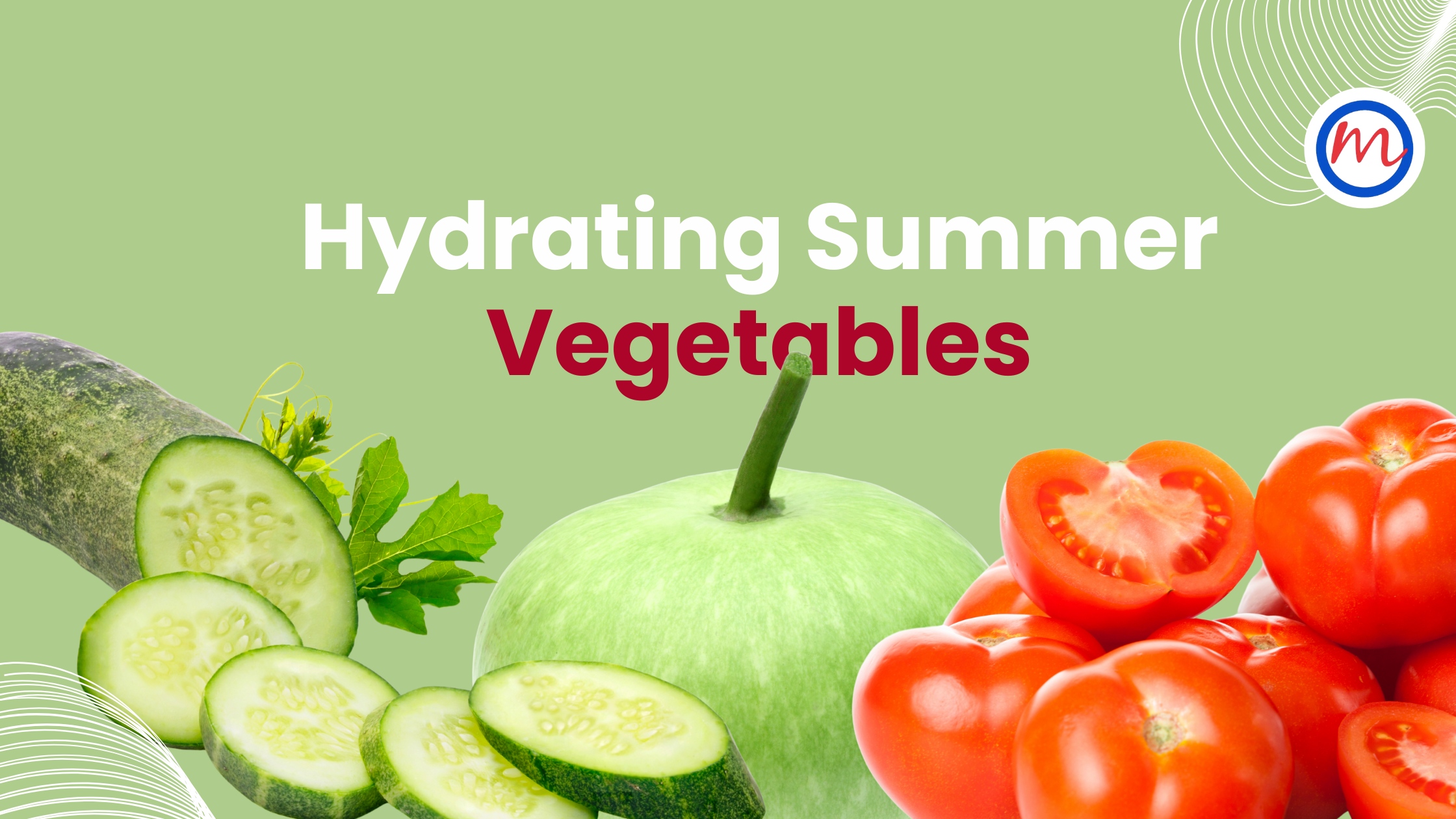Hydrating Summer Vegetables to Keep You Energised and Healthy
