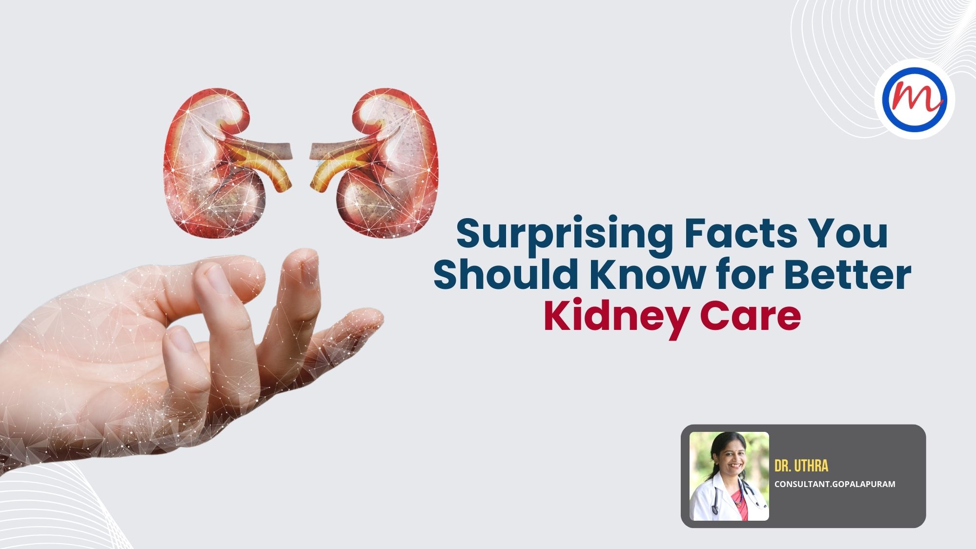 12 Surprising Facts You Should Know for Better Kidney Care