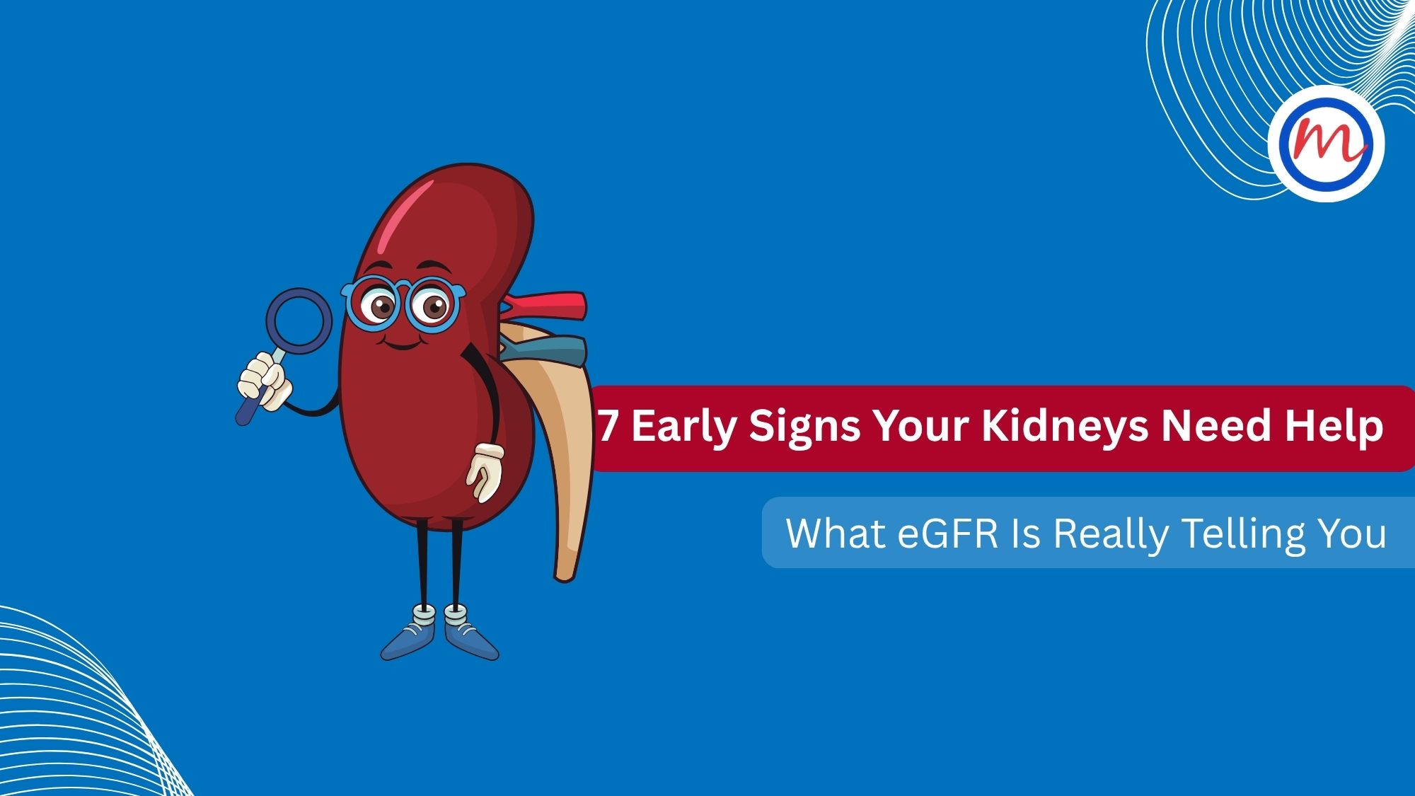 Kidneys