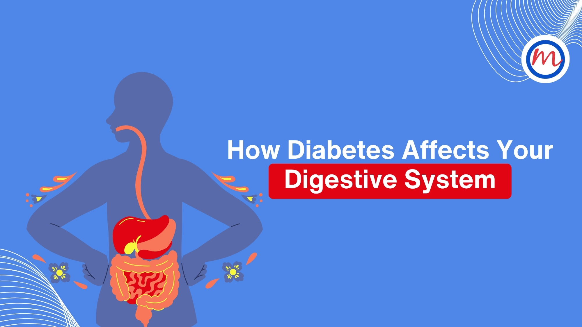Digestive System