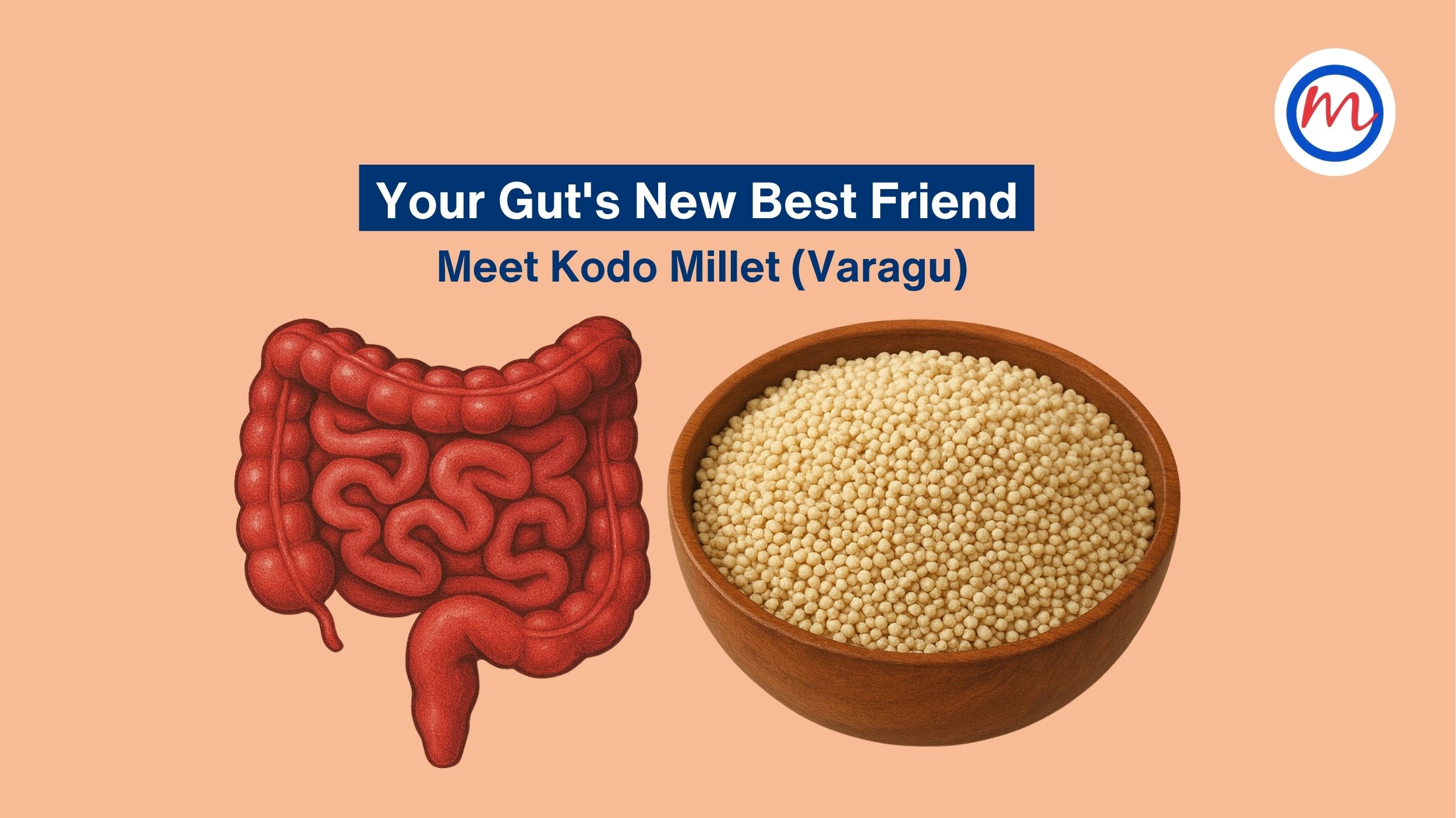 Your Gut’s New Best Friend: Meet Kodo Millet (Varagu)